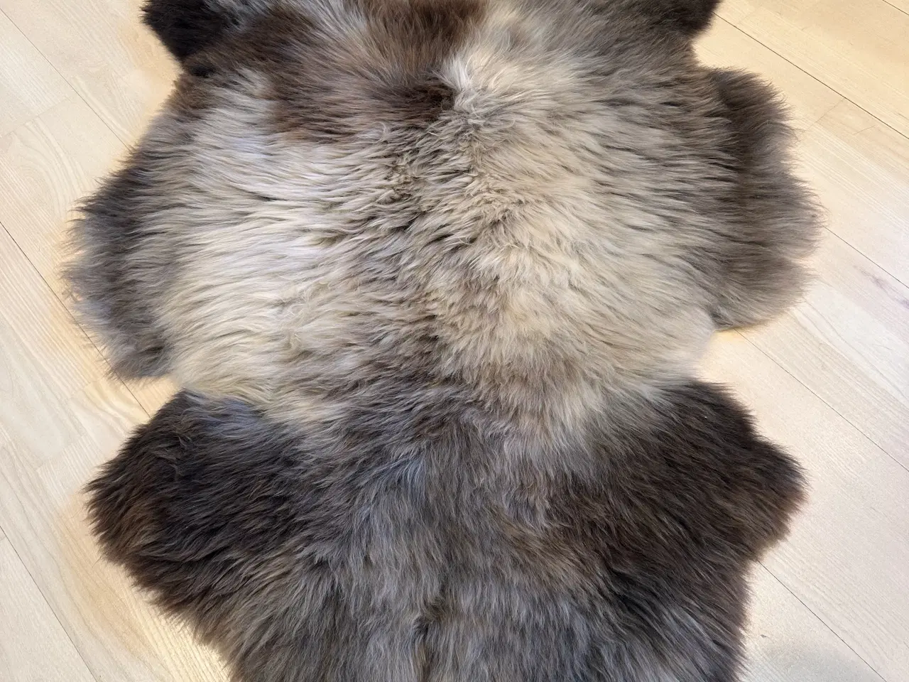 Billede 4 - Helt nyt dansk lammeskind 