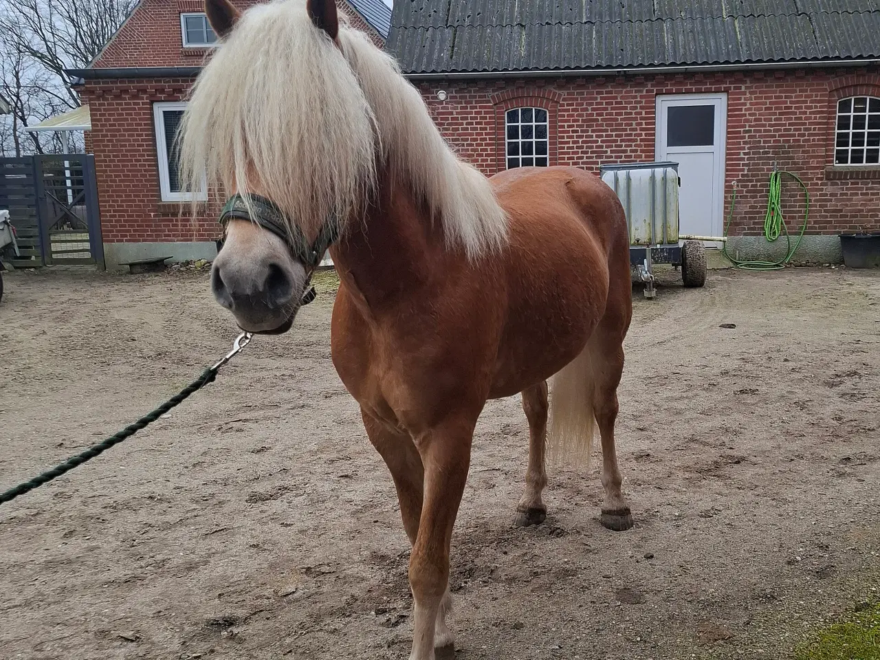 Billede 3 - Vil du ses???