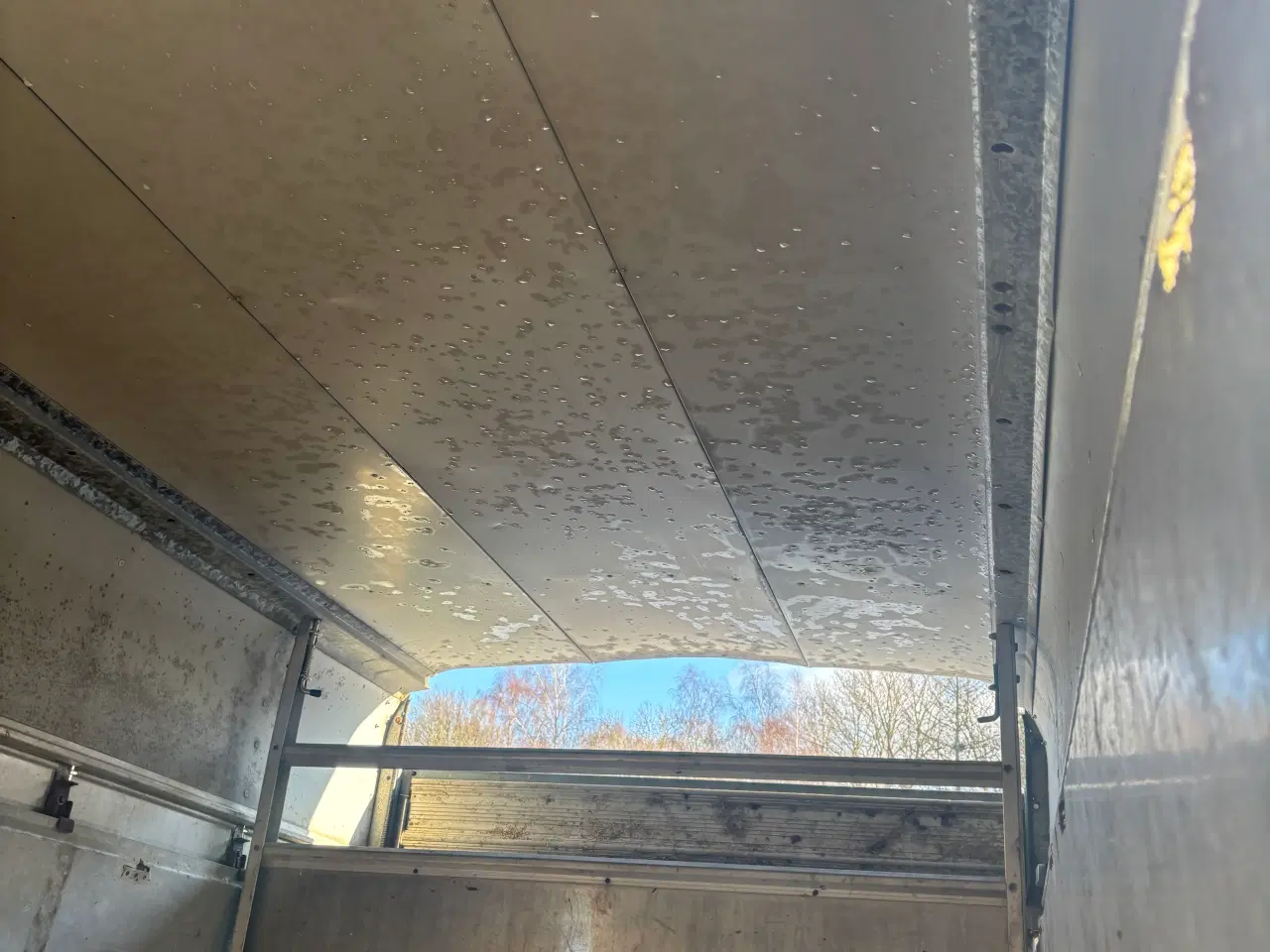 Billede 9 - Dyretransport 