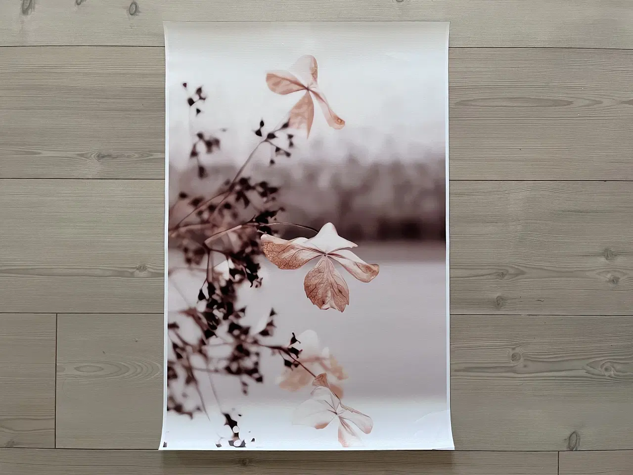 Billede 5 - Billeder, Lærredstryk, Tryk, Plakater, 40 x 60 cm