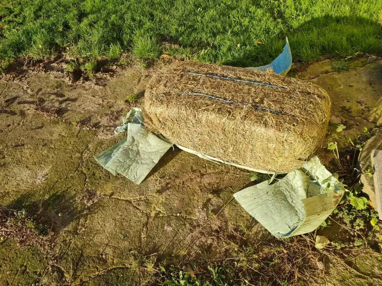 Billede 3 - Lækkert 2. slet wraphø m/analyse