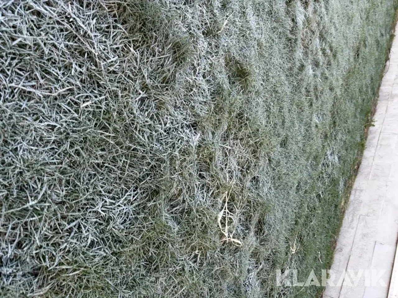 Billede 6 - CN Agro GHY-143-1200