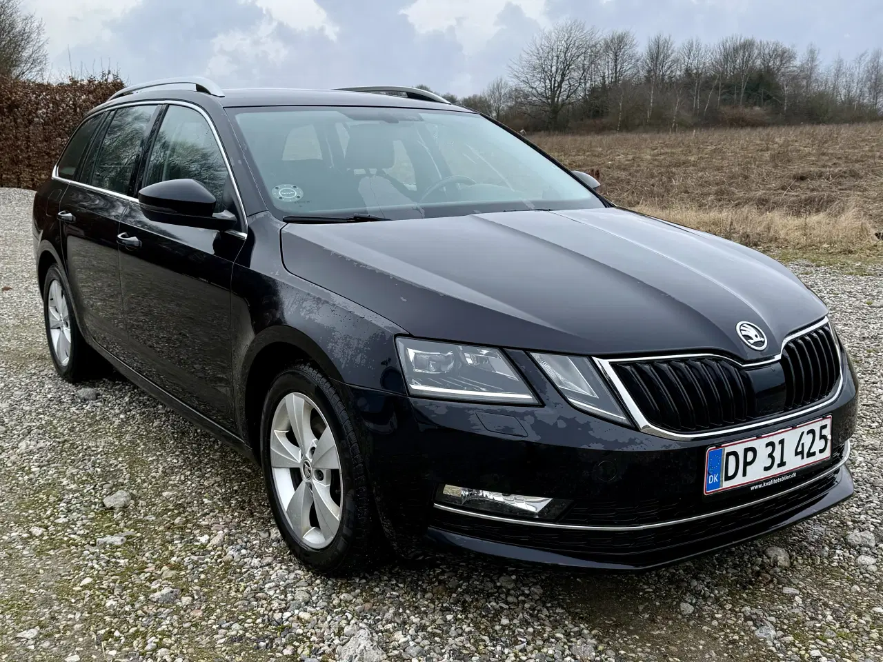 Billede 6 - Skoda Octavia 150 Combi DSG