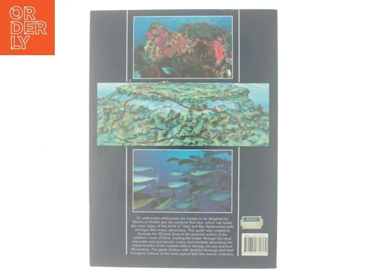 Billede 3 - Sharm-el-Sheik af Claudio Cangini (Bog)