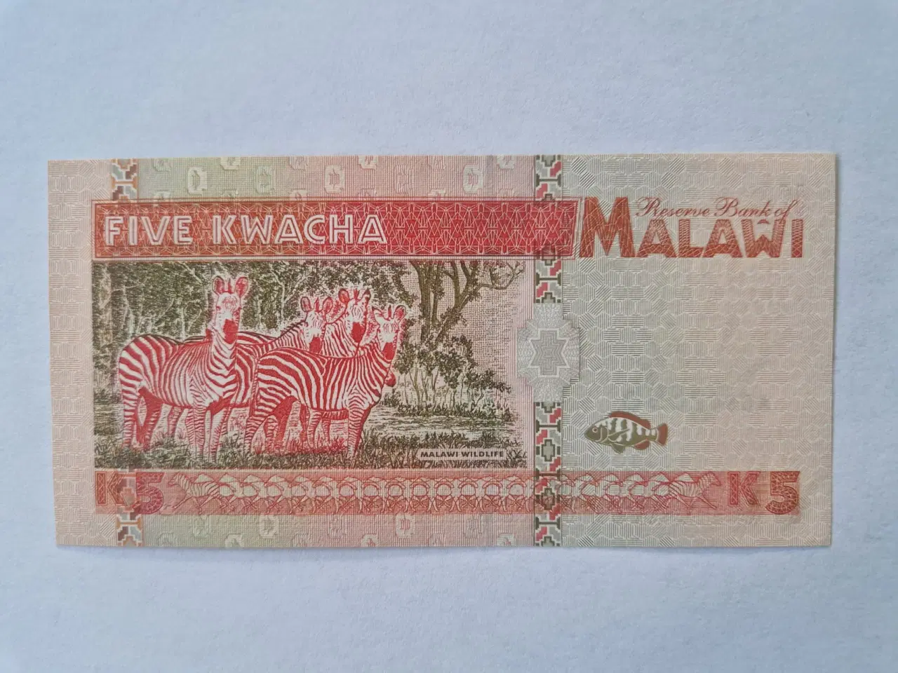 Billede 2 - Five Kwacha Malawi