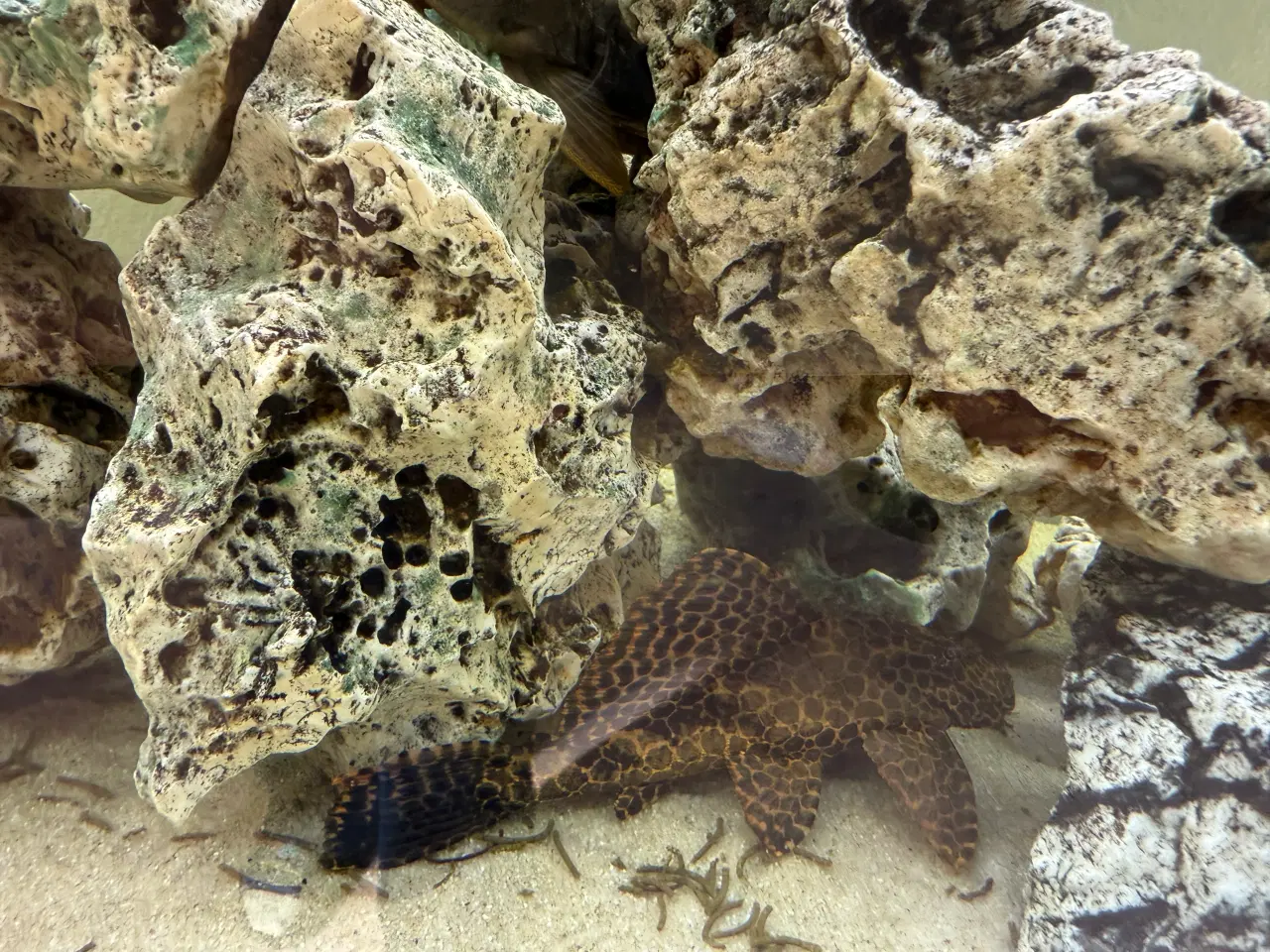 Billede 4 - Akvarie 