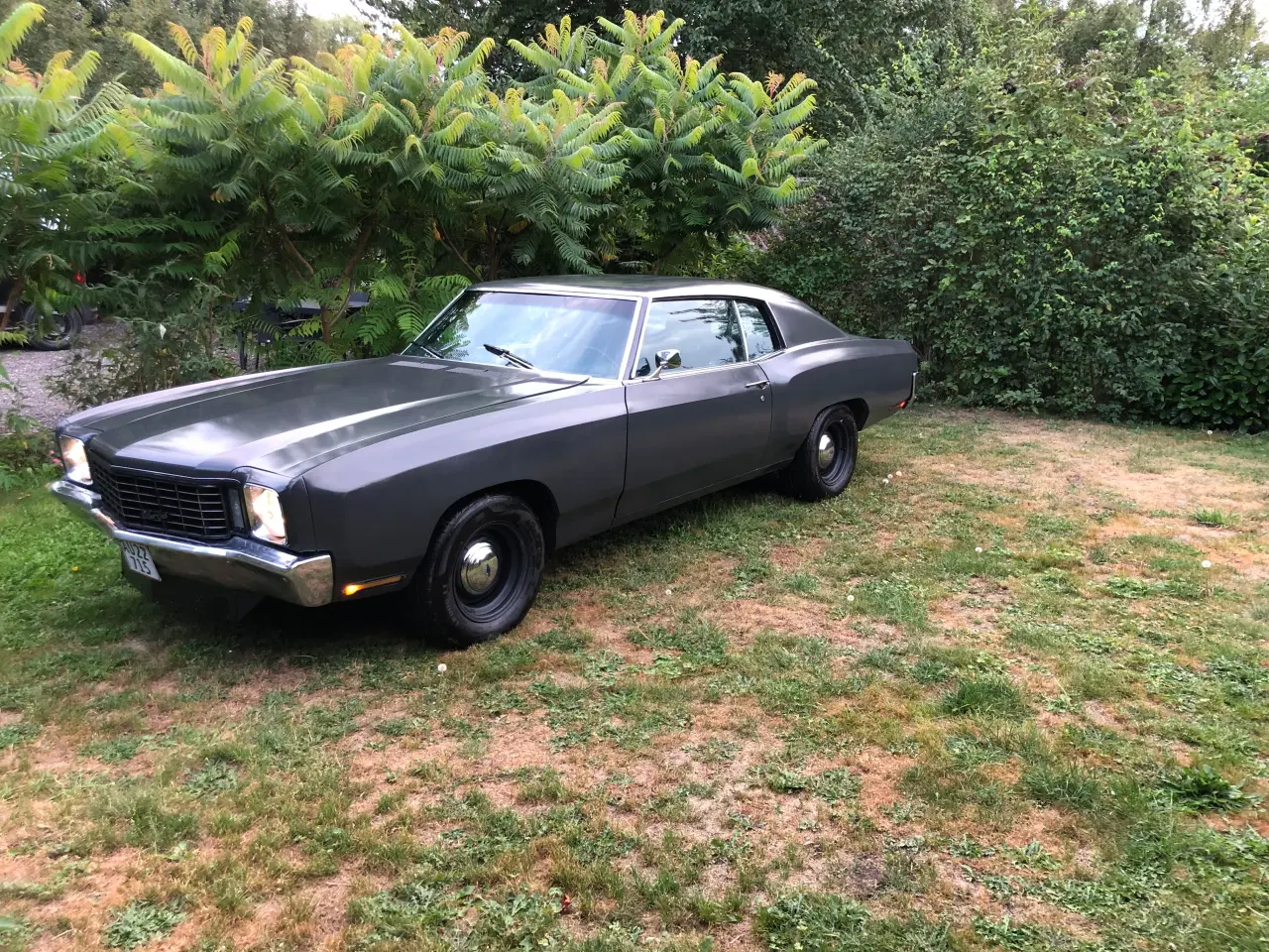 Billede 1 - Amerikanerbil chevrolet monte Carlo 