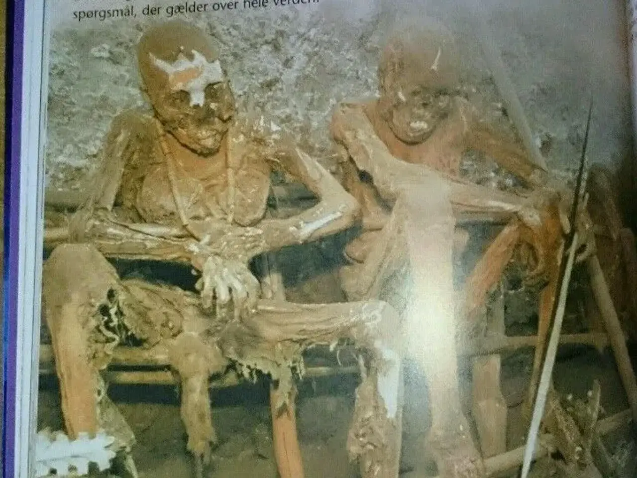Billede 4 - Spændende bog om mumier