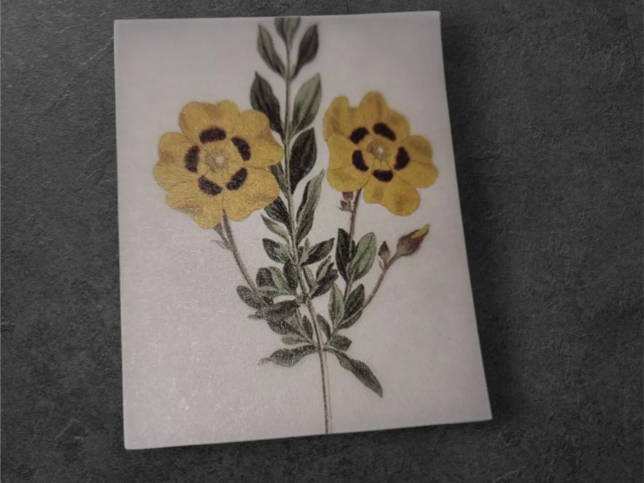 Billede 1 - Naturlige papirark med botanisk design til kreativ