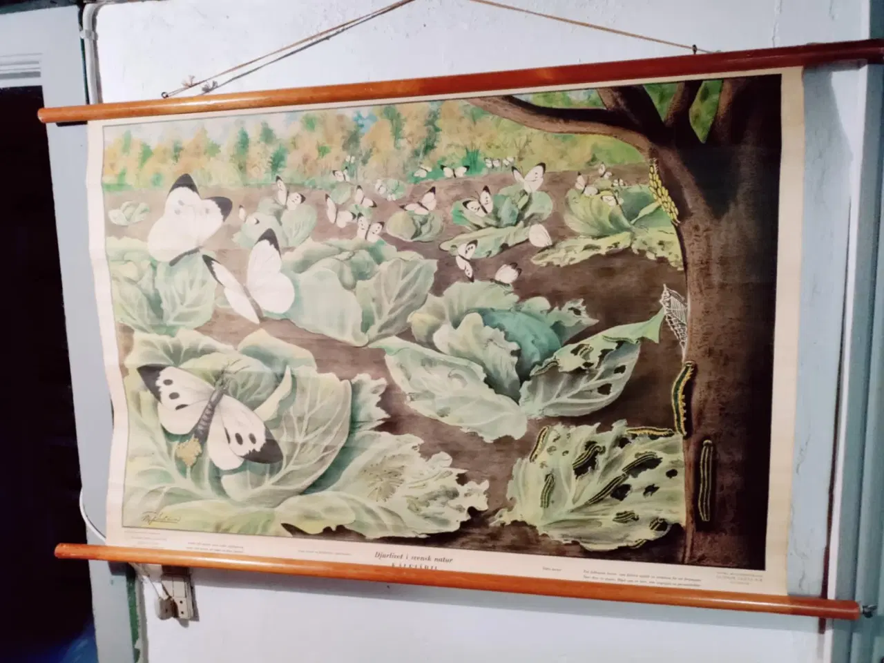 Billede 1 - fedt lille skolekort med sommerfugle