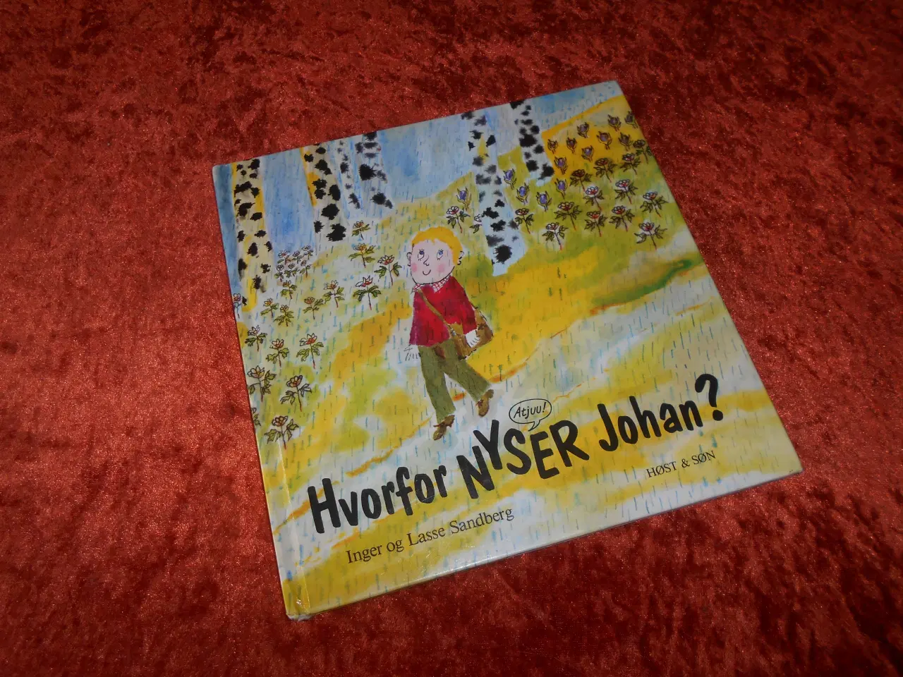 Billede 1 - Hvorfor nyser Johan?, Inger Sandberg