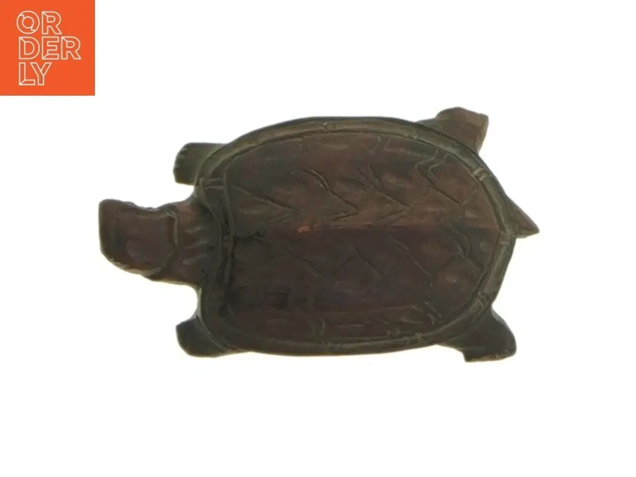 Billede 7 - sten skildpadder (str. 5-7 cm)