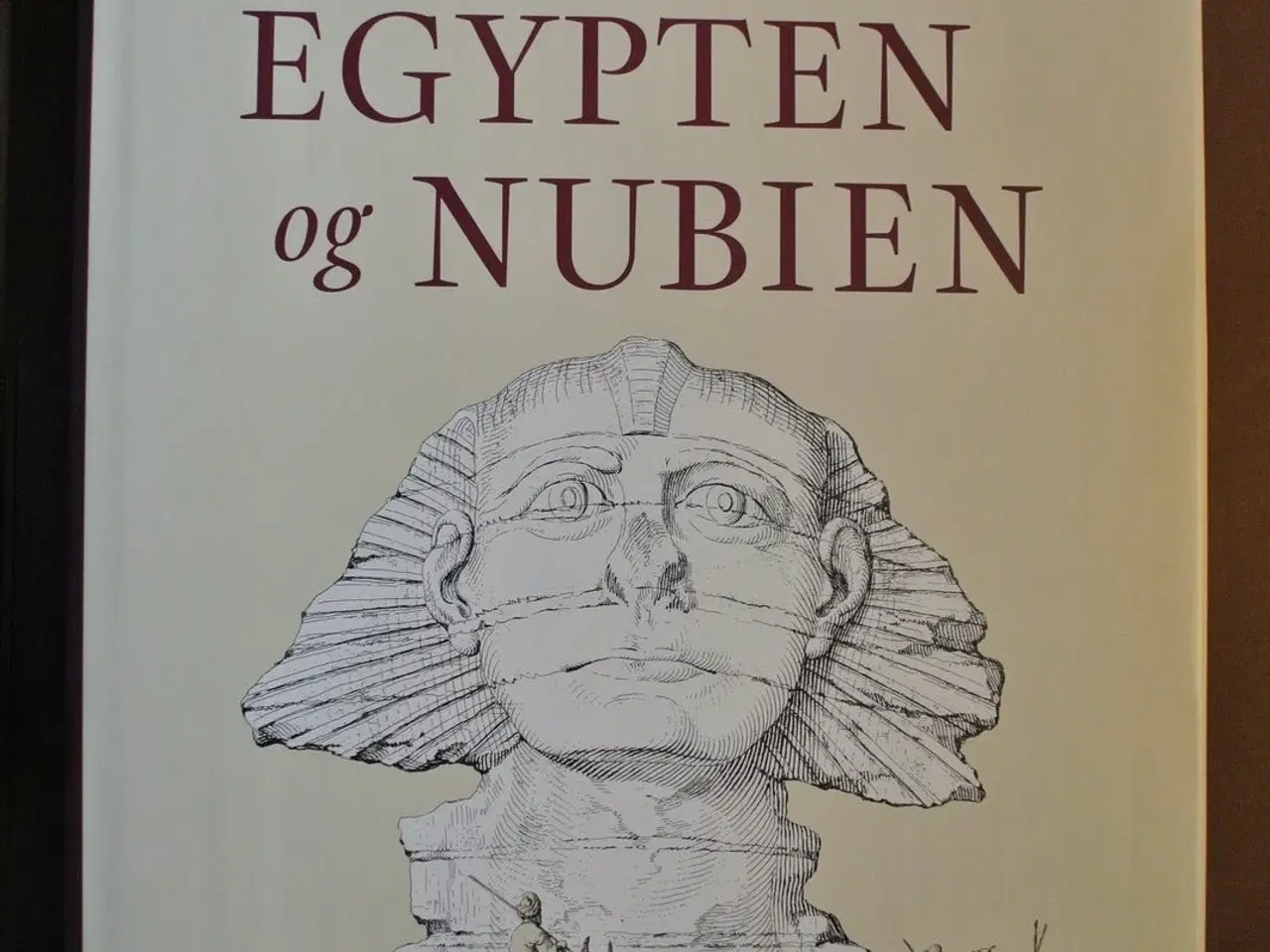 Billede 2 - rejse i egypten og nubien, af frederik ludvig nord
