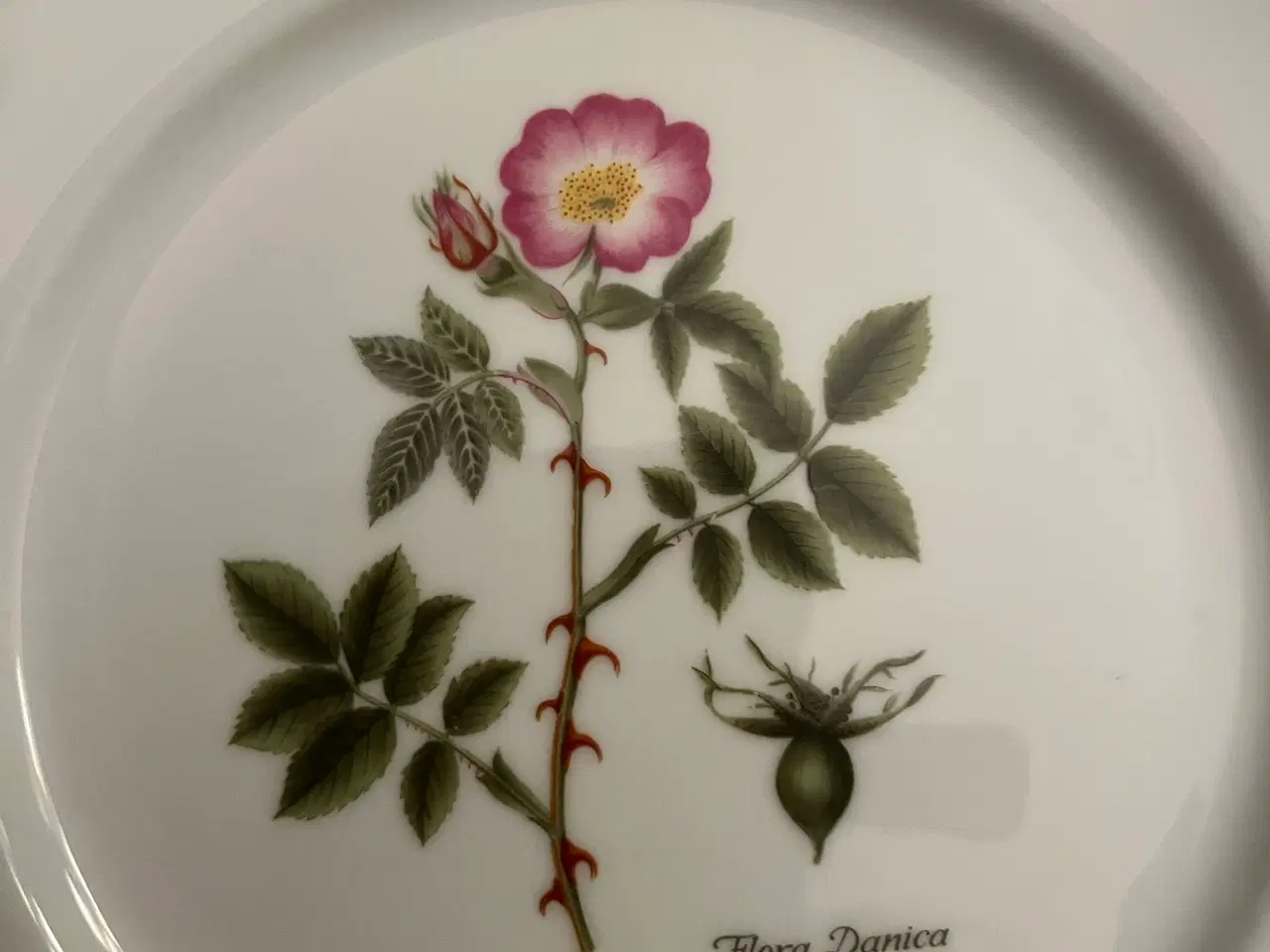 Billede 5 - Flora Danica tallerkener 