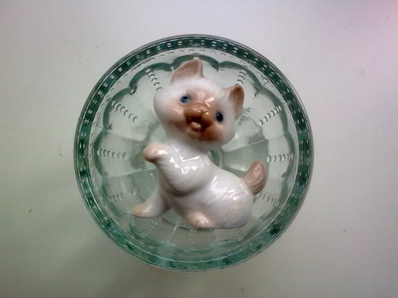 Billede 2 - Ragdoll misinformation m Birdie Nam Nam