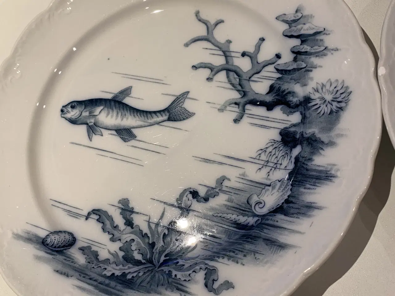 Billede 6 - Fiske tallerken 7 stk