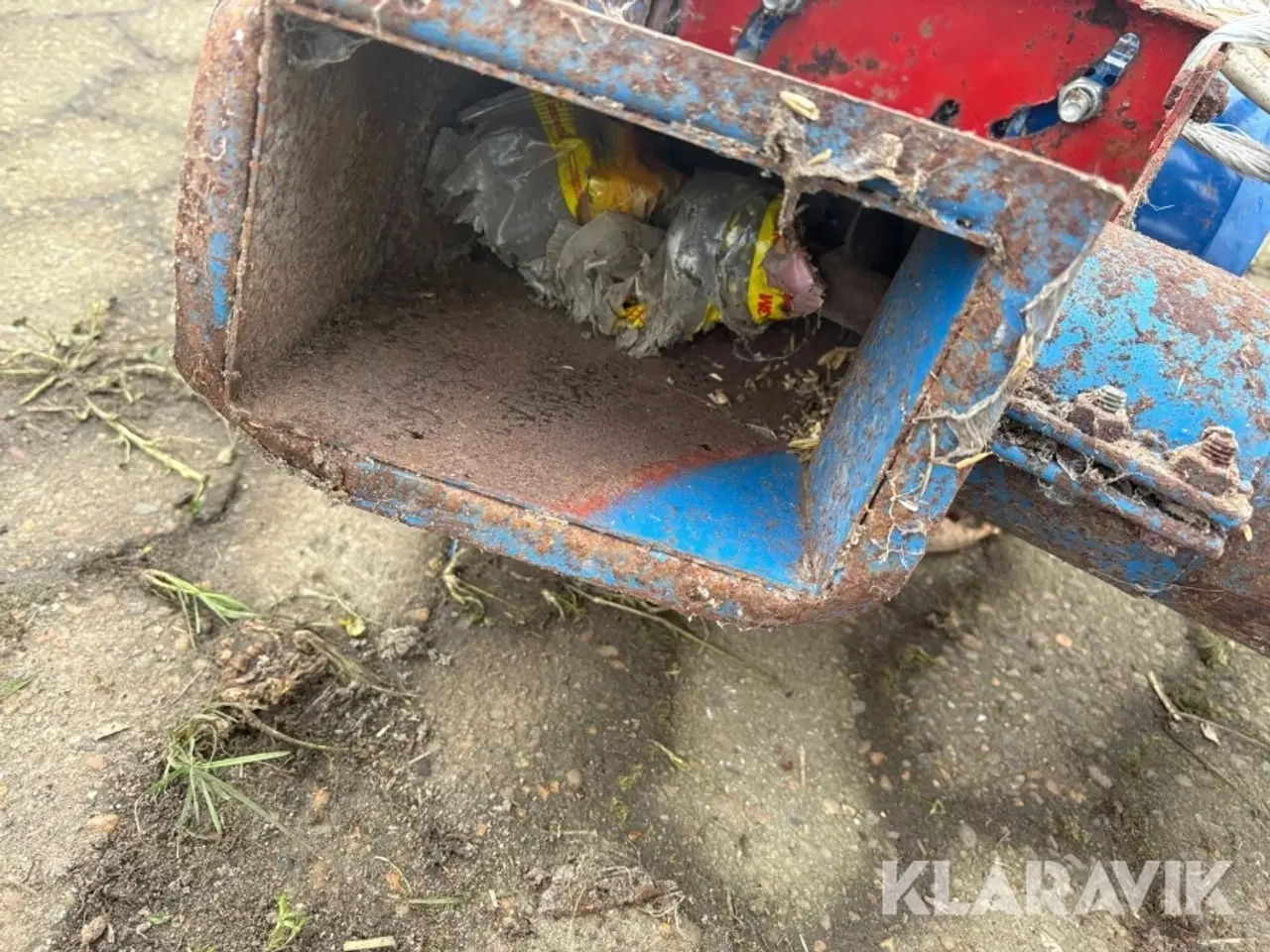 Billede 7 - Kornsnegl