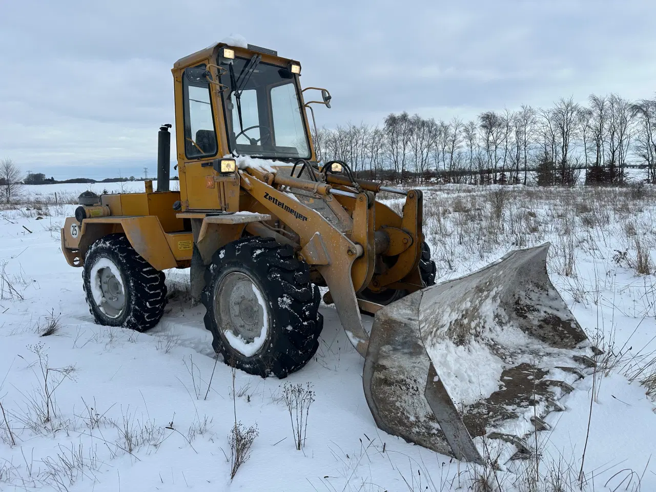 Billede 1 - Zettelmeyer ZL1001