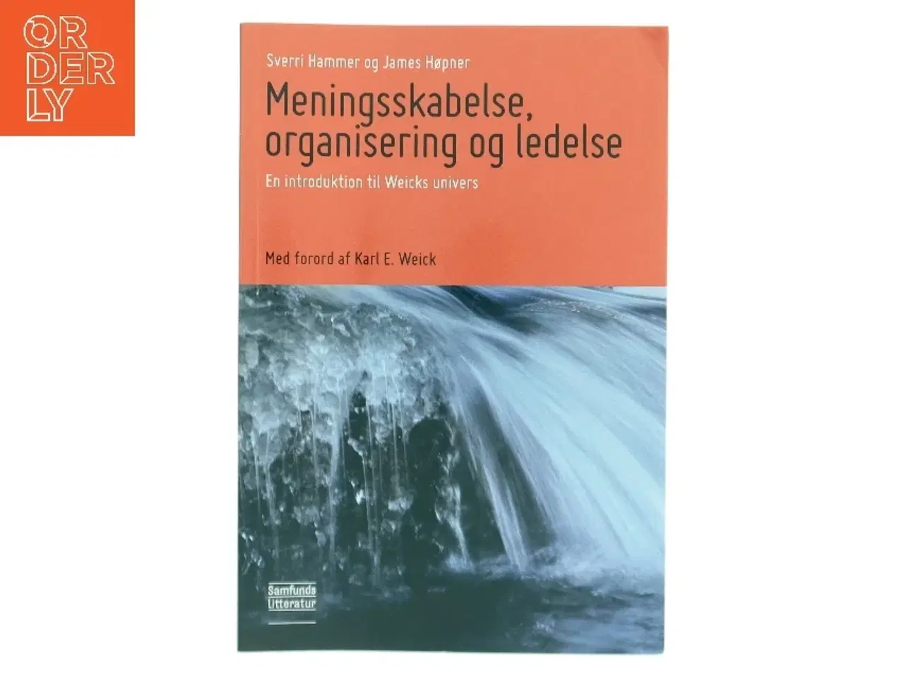 Billede 1 - Meningsskabelse, organisering og ledelse (Bog)