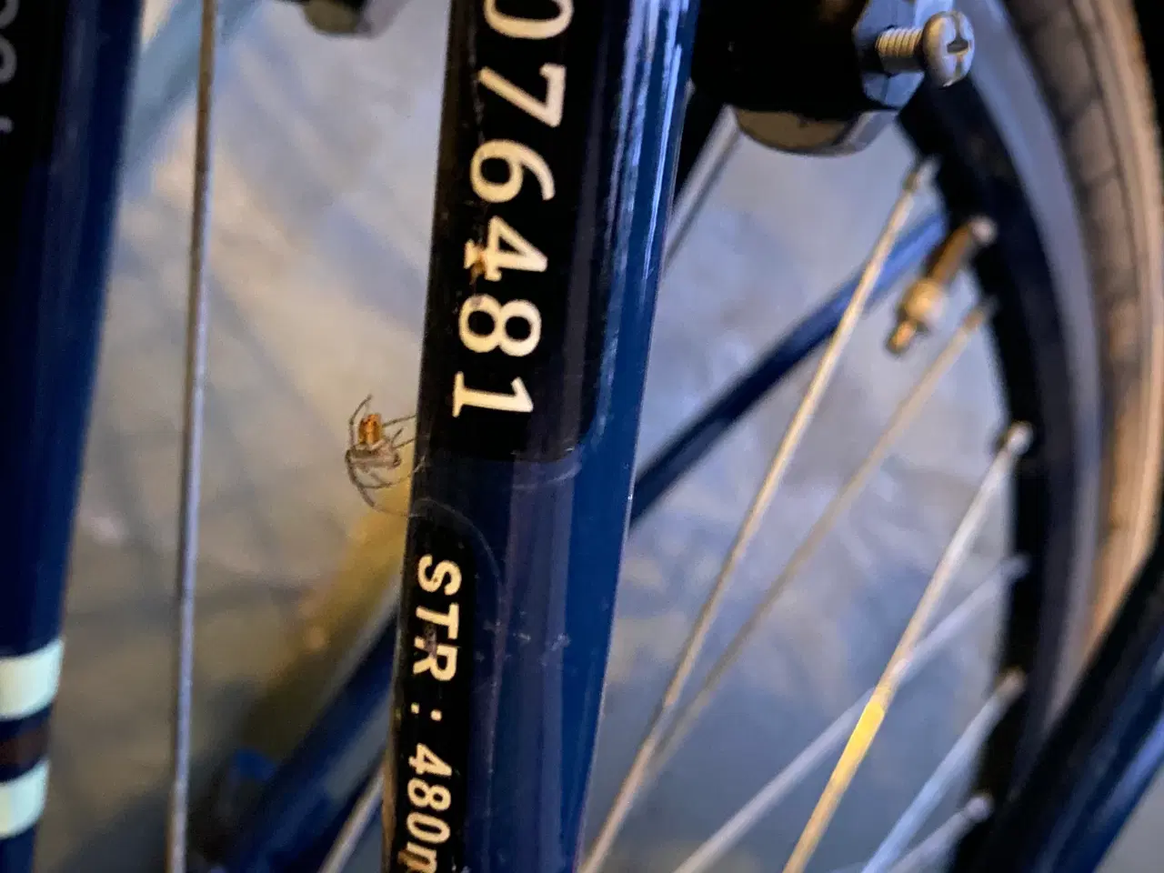 Billede 5 - Puch damecykel