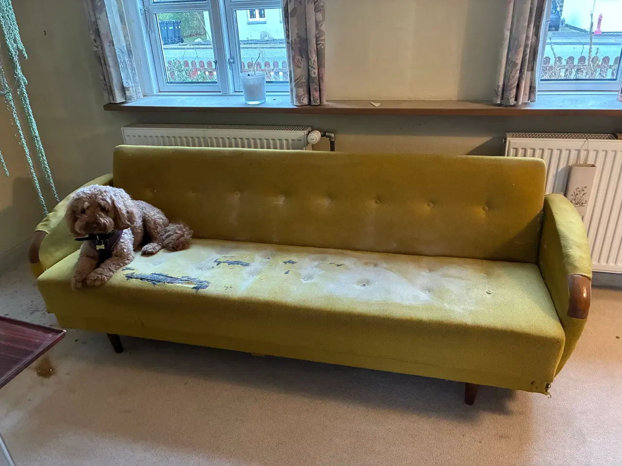 Billede 1 - Retro sovesofa