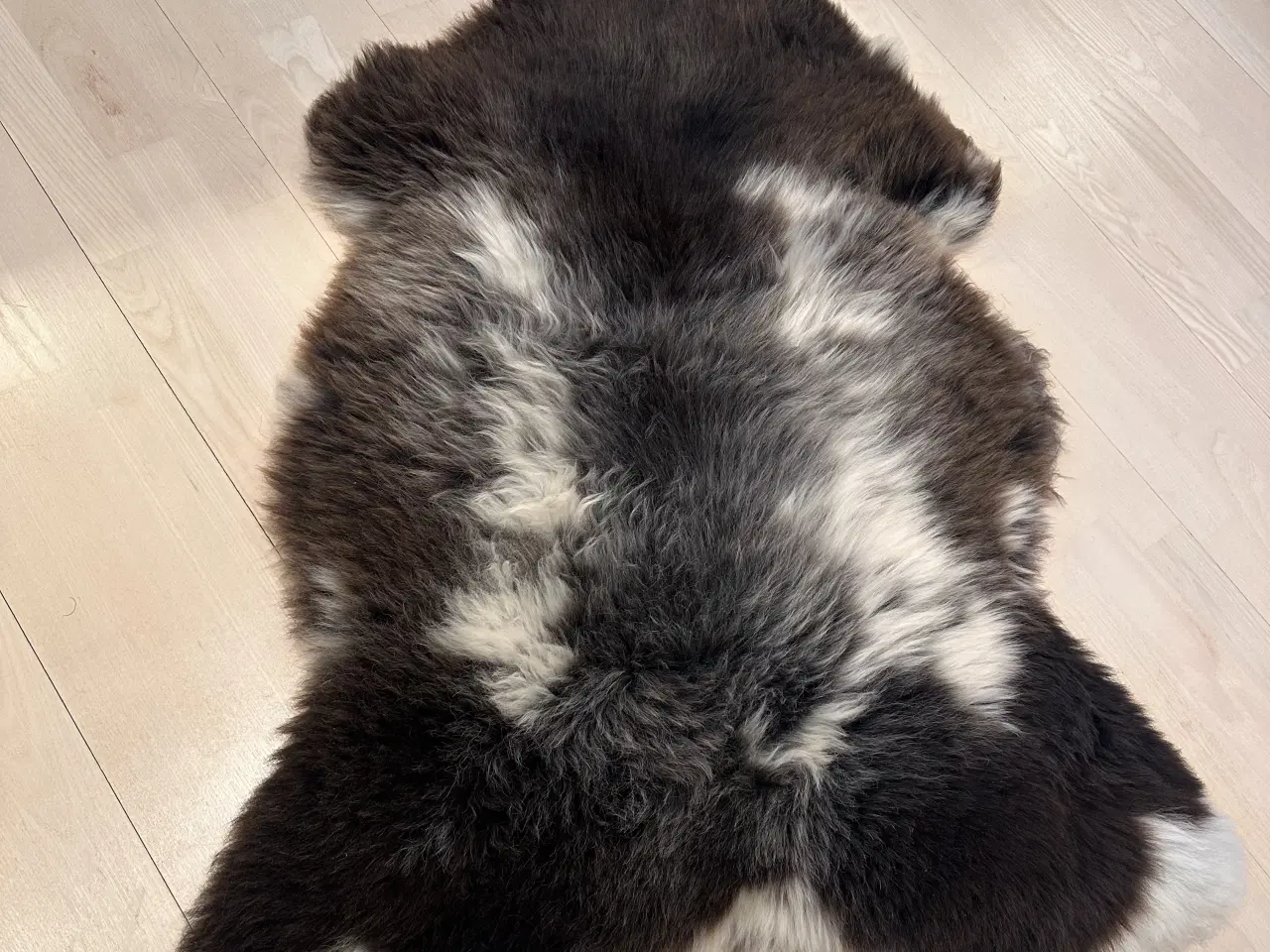 Billede 2 - Helt nyt lammeskind