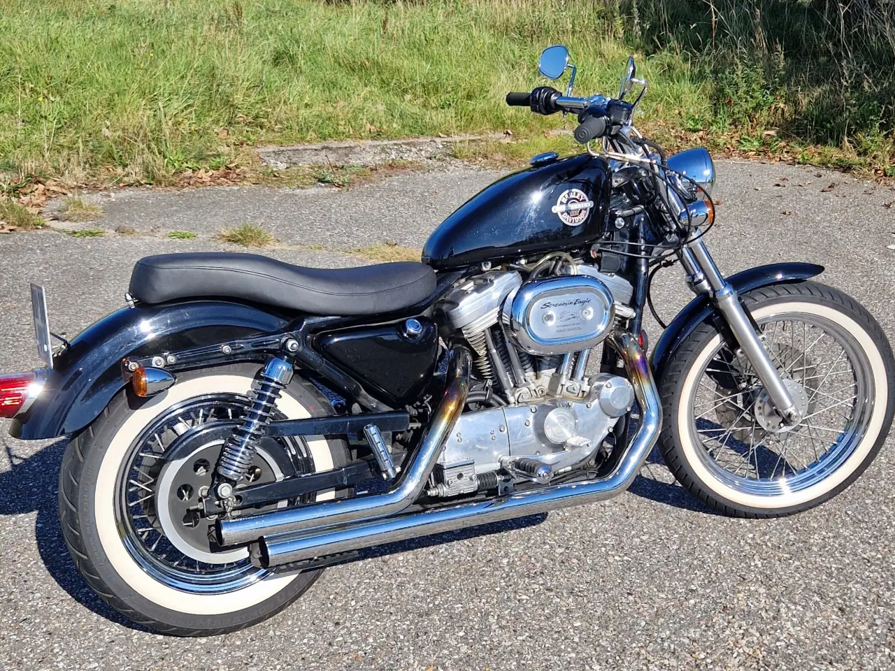 Billede 2 - Sportster 883 evo
