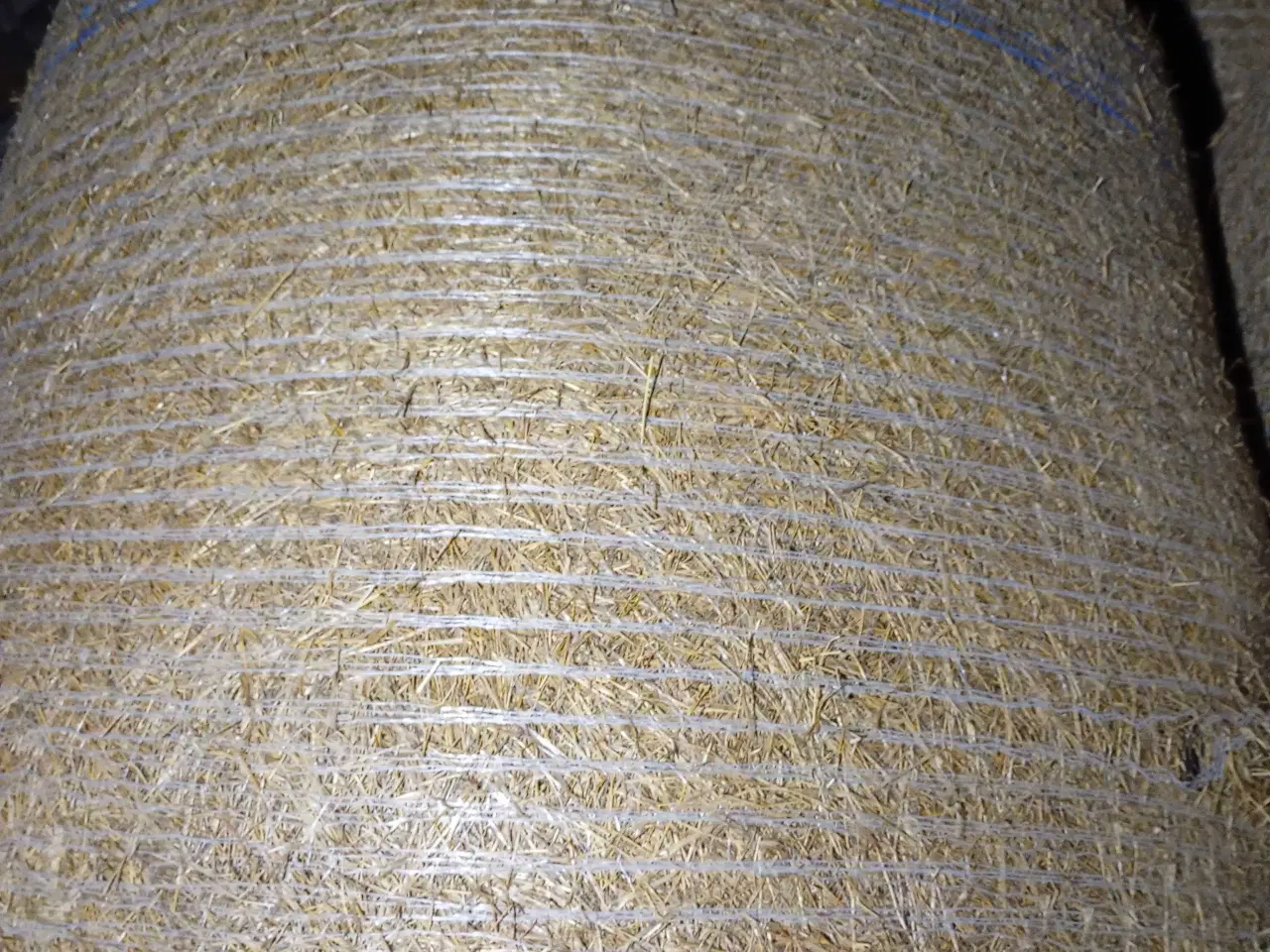 Billede 1 - Frøgræs halm