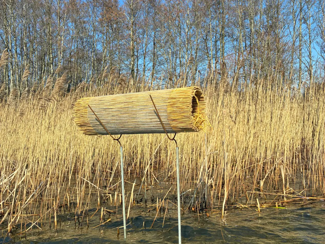 Billede 2 - Ducktube