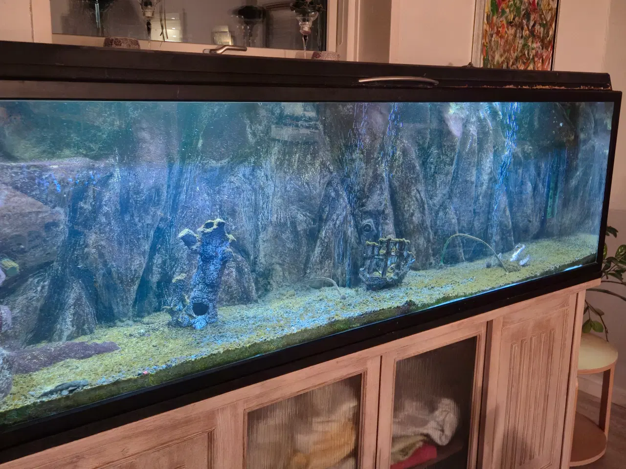 Billede 10 - 660L akvarie med 3D baggrund