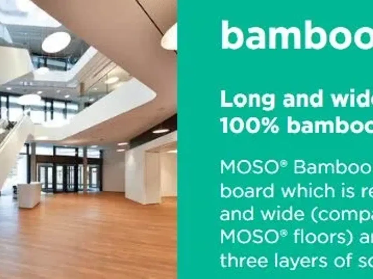 Billede 8 - Økologiske bambusgulve og byggemateriale