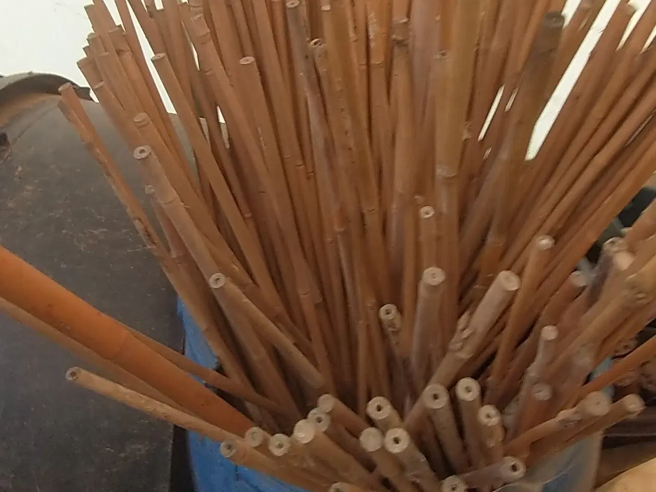 Billede 1 - Bambuspinde 110cm