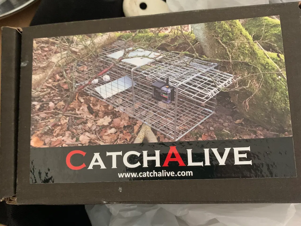Billede 1 - Cacthalive