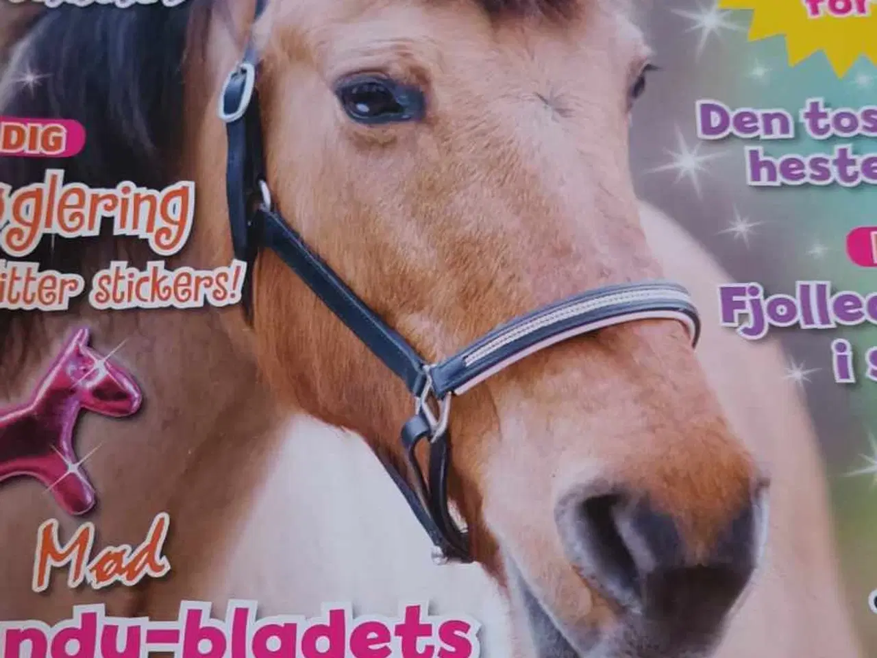 Billede 2 - Wendy Blad.