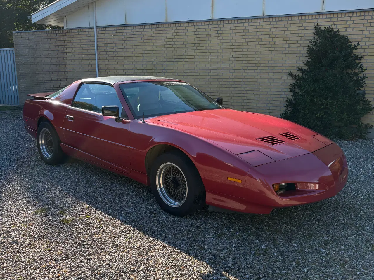 Billede 3 - Pontiac Trans Am Targa 5.0 V8