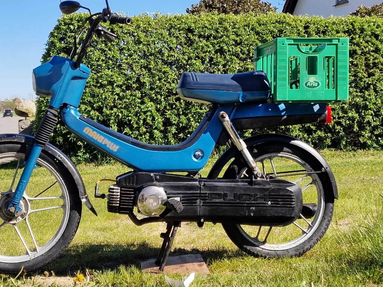 Billede 4 - Puch maxi plus  2