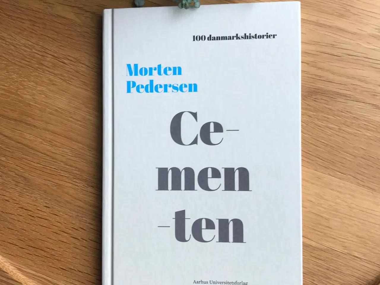 Billede 1 - Cementen  af Morten Pedersen