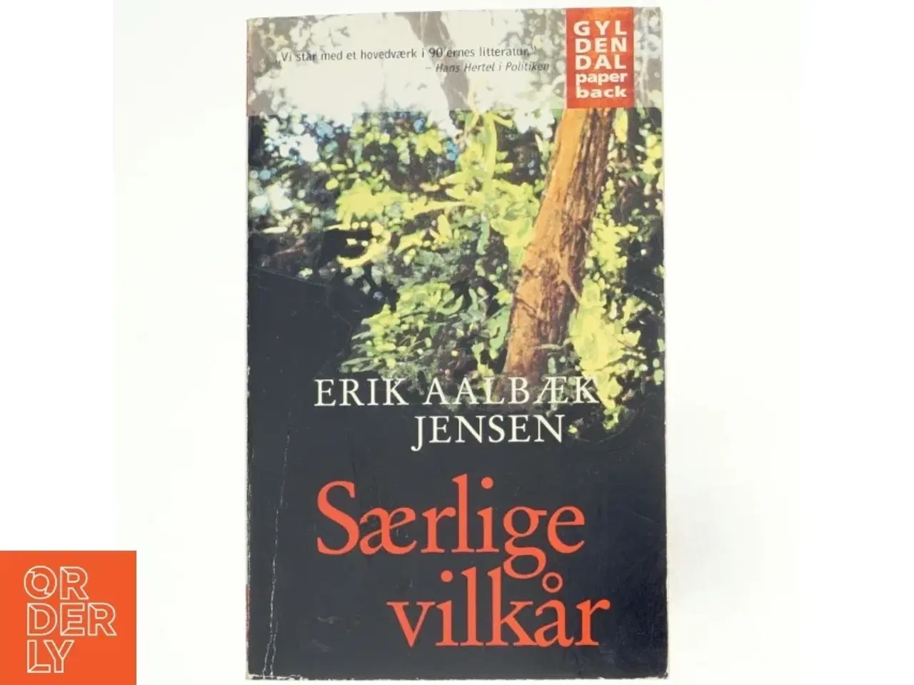 Billede 1 - Særlige vilkår : roman af Erik Aalbæk Jensen (Bog)