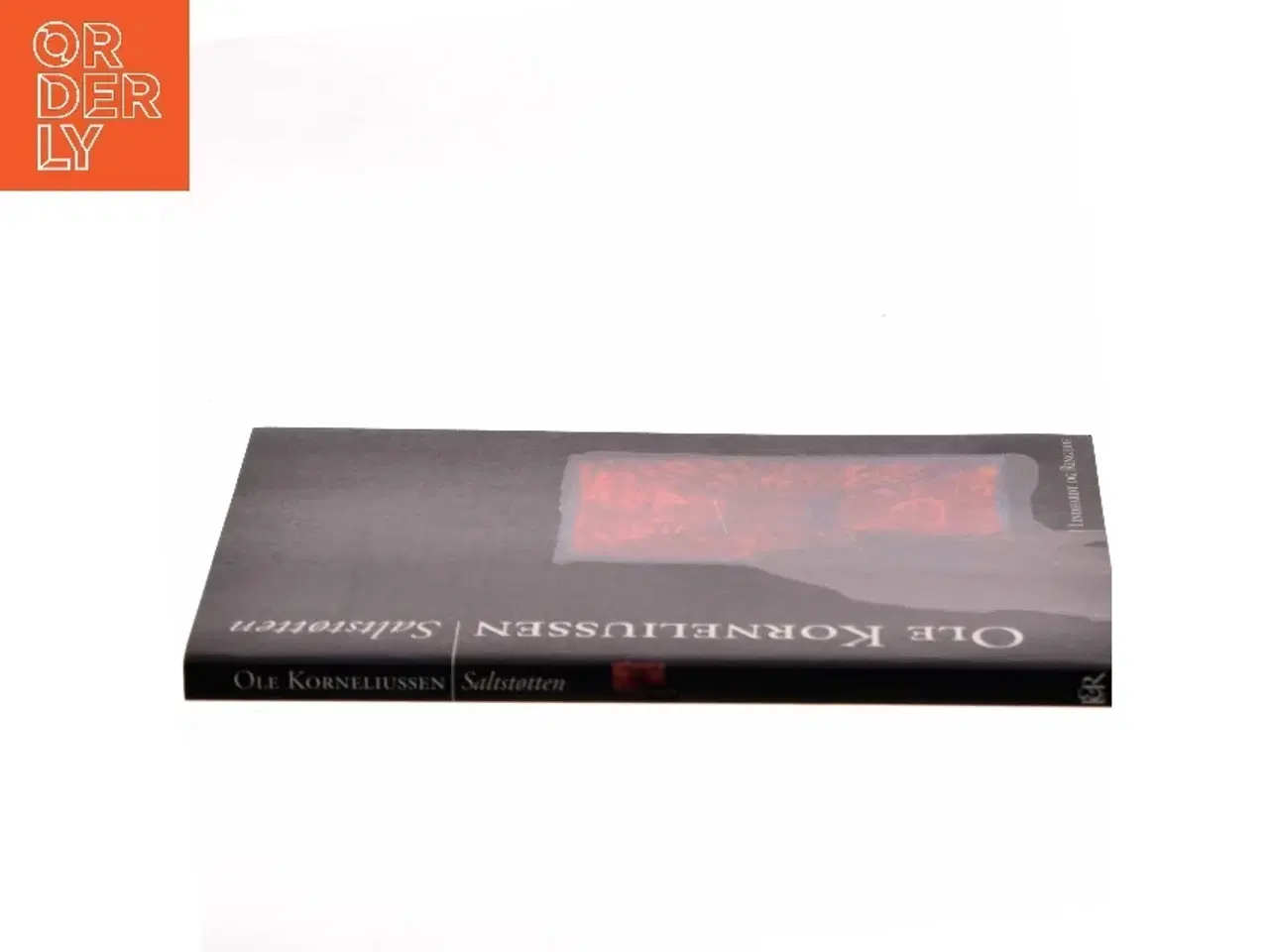 Billede 2 - Saltstøtten : roman af Ole Korneliussen (Bog)
