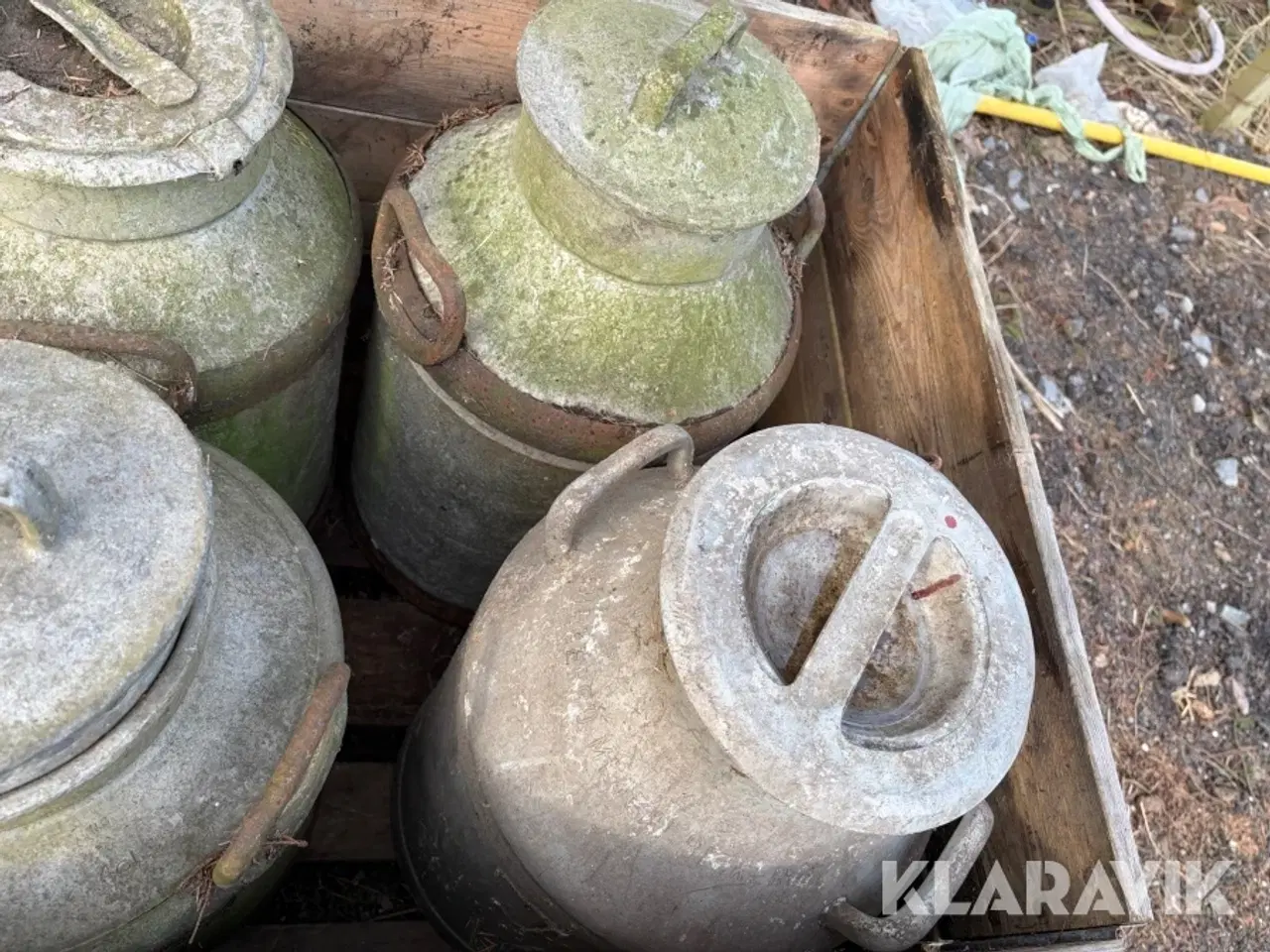 Billede 8 - Mælkejunger 12 styk samlet lot