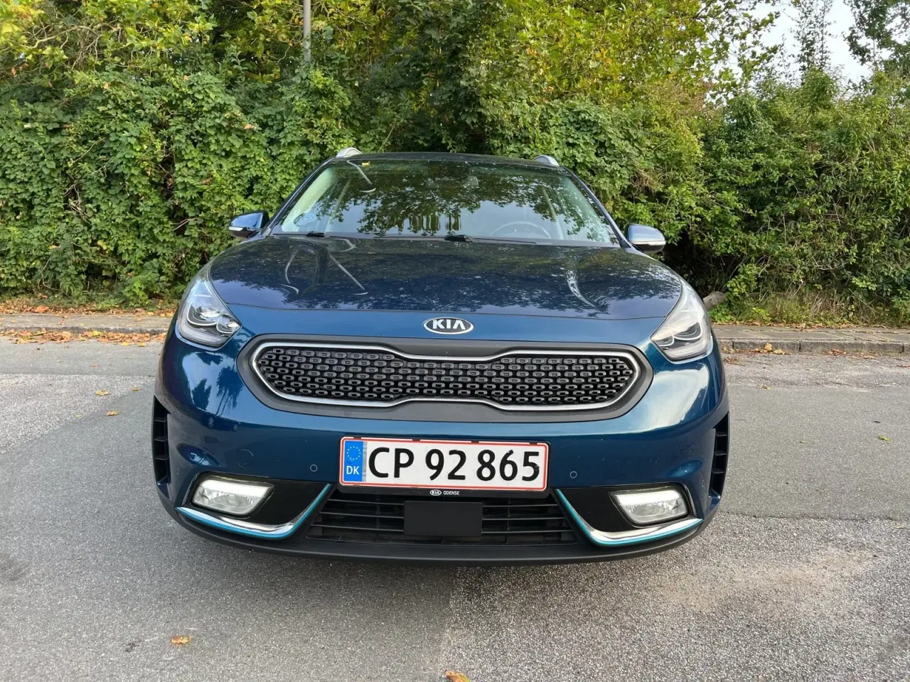 Billede 2 - Kia Niro 1,6 PHEV Advance DCT