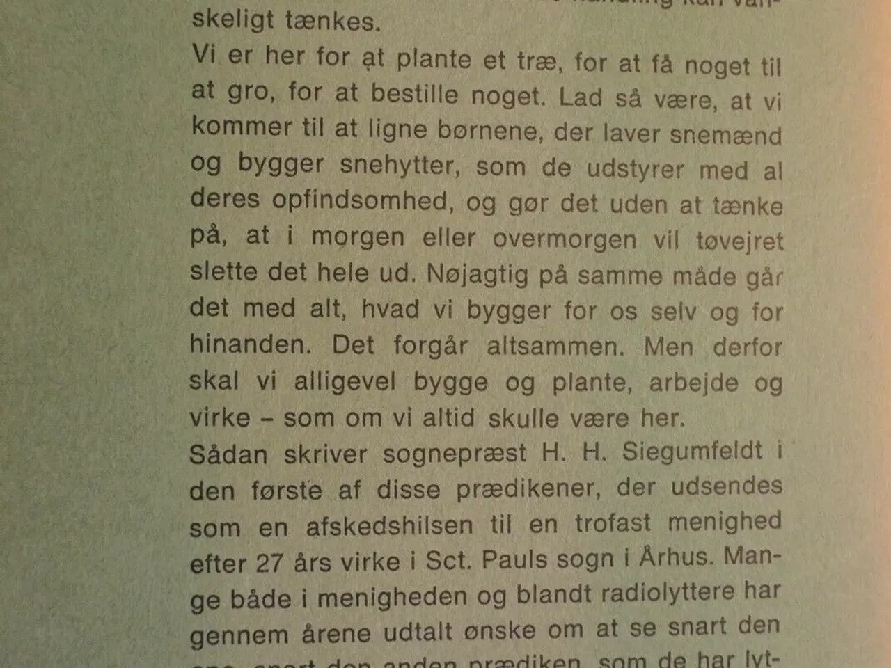 Billede 5 - lad os plante et træ - prædikener fra sct. pauls k