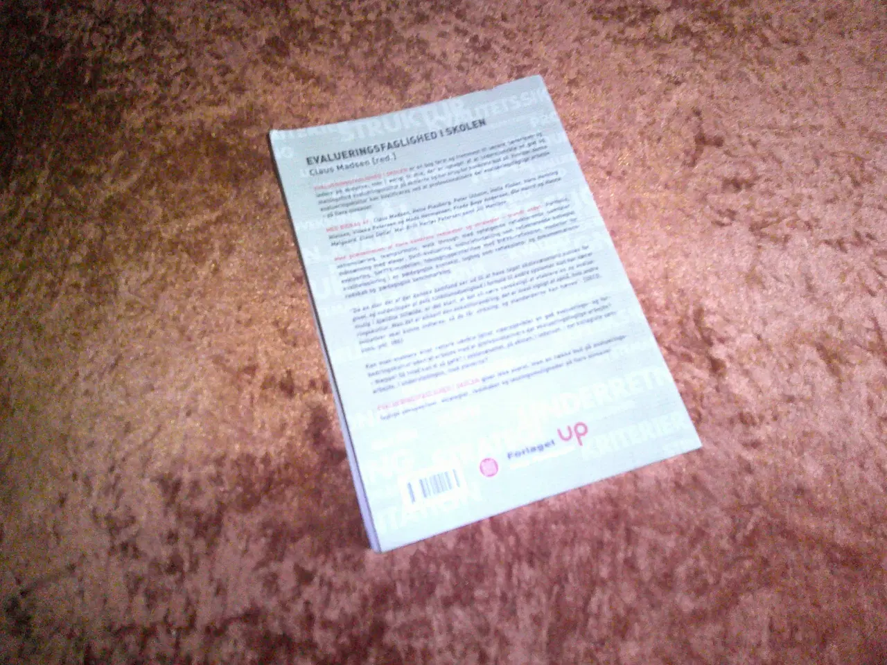 Billede 2 - Evalueringsfaglighed i skolen, Claus Madsen