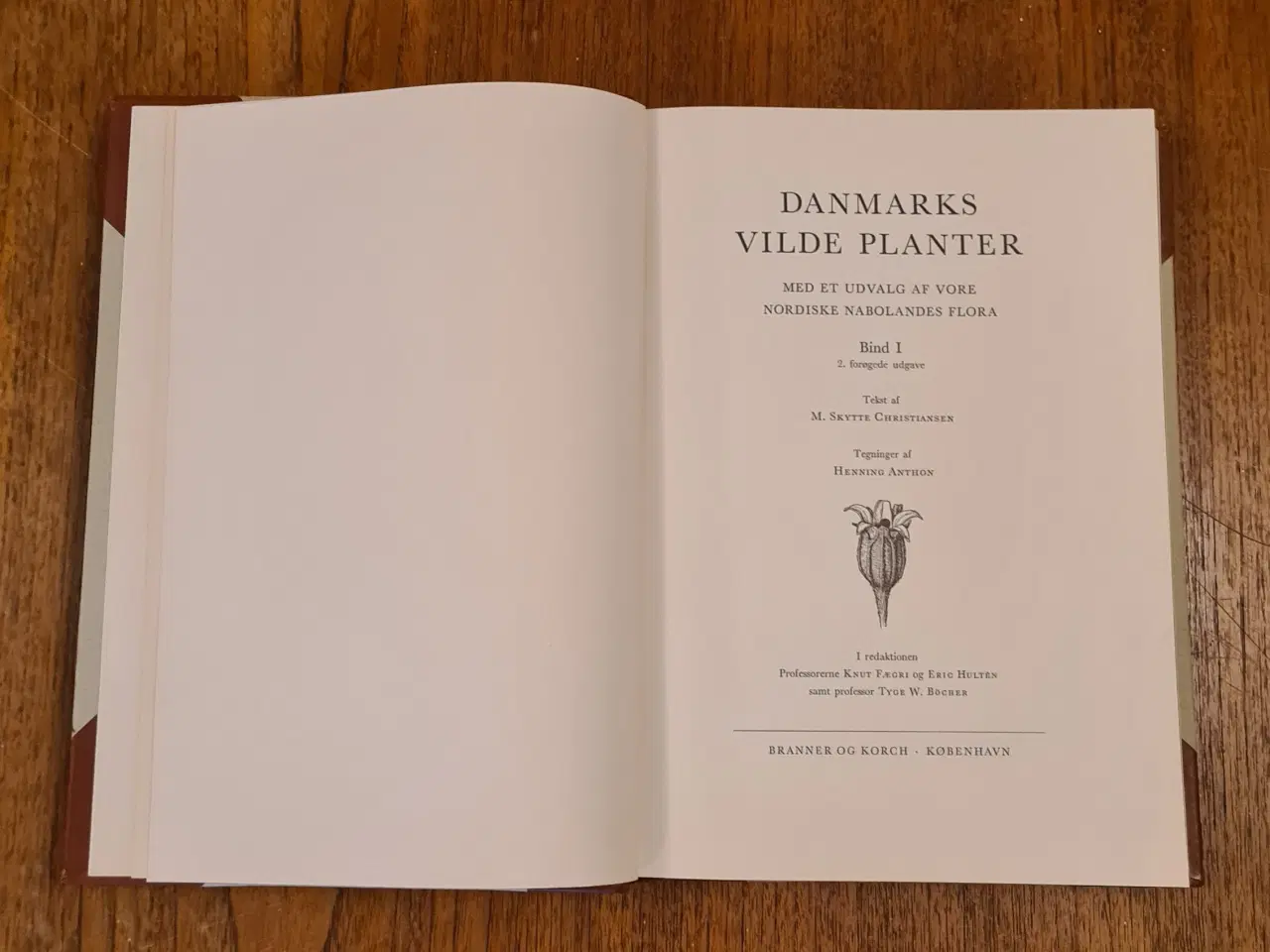 Billede 4 - Danmarks Vilde Planter