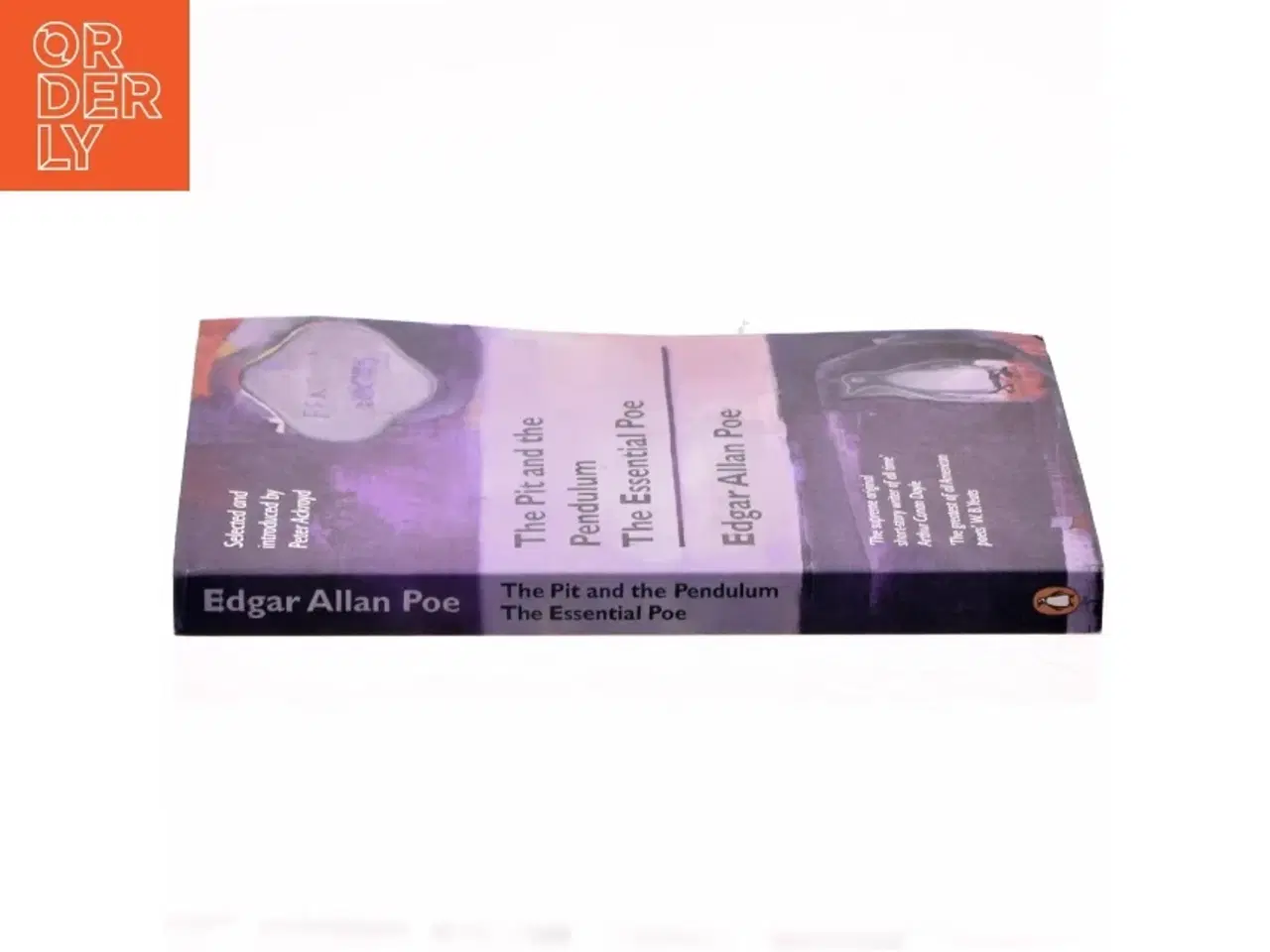 Billede 2 - The Pit and the pendulum, edgar Allan Poe