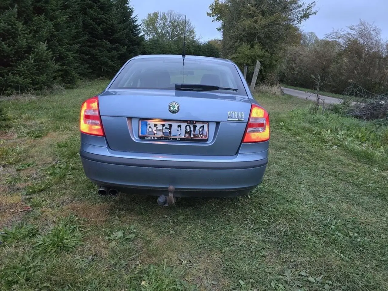 Billede 8 - Skoda Octavia 