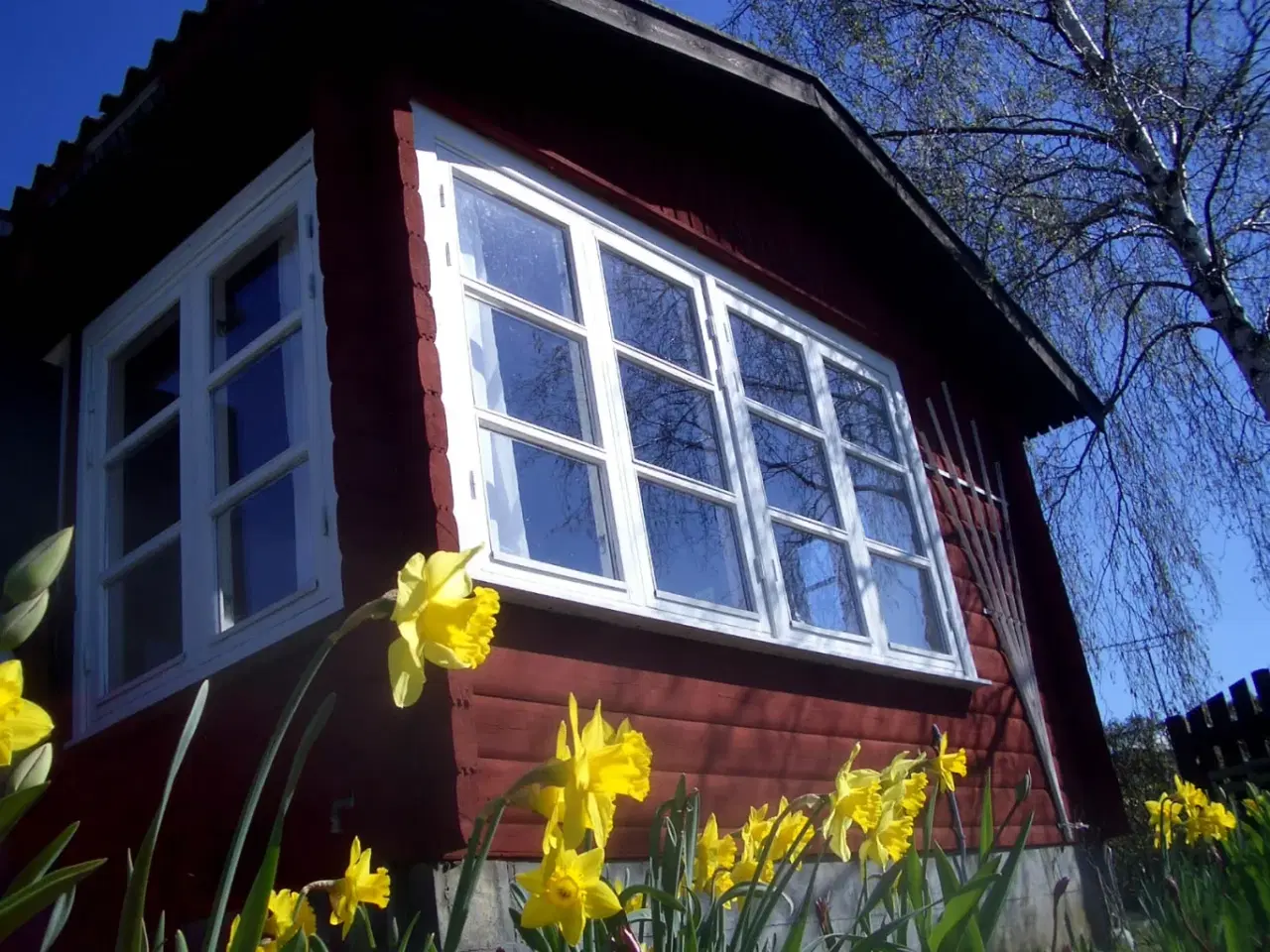 Billede 2 - Kolonihave Holbæk 