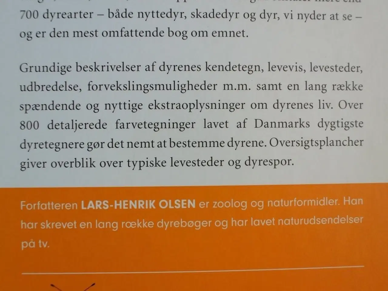 Billede 4 - små dyr i hus og have, af lars-henrik olsen og jak