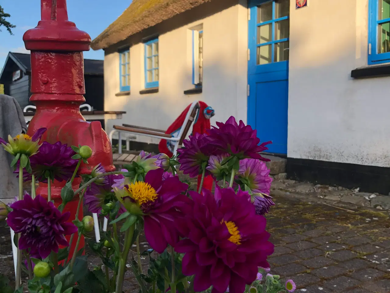 Billede 20 - Hyggeligheden til salg