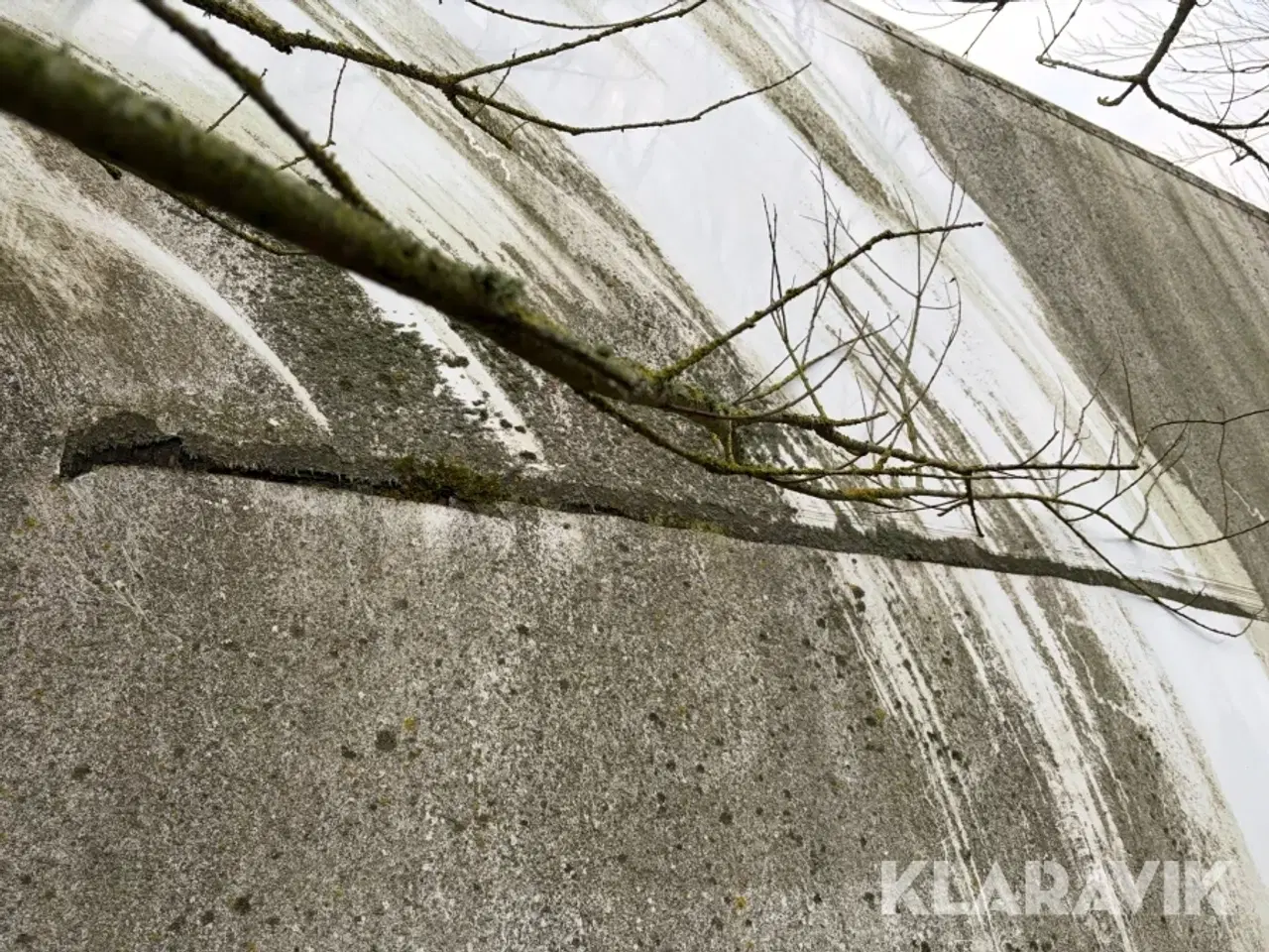 Billede 12 - Udleveringvogn grise Spier